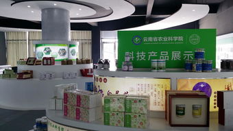 云南省農(nóng)業(yè)科學(xué)院科技產(chǎn)品電子商務(wù)營銷中心成立，開啟智慧農(nóng)業(yè)新篇章